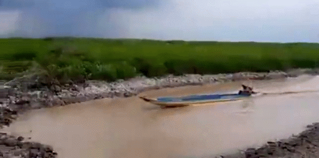 Прикольные гифки Прикольные гифки