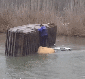 Прикольные гифки Прикольные гифки