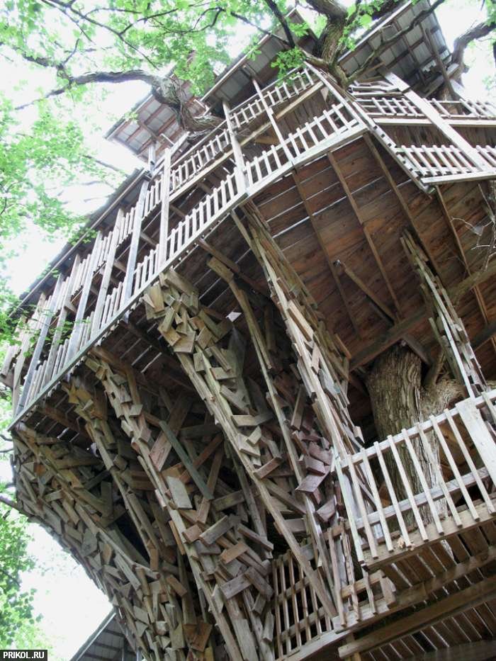 97-feet-treehouse-18