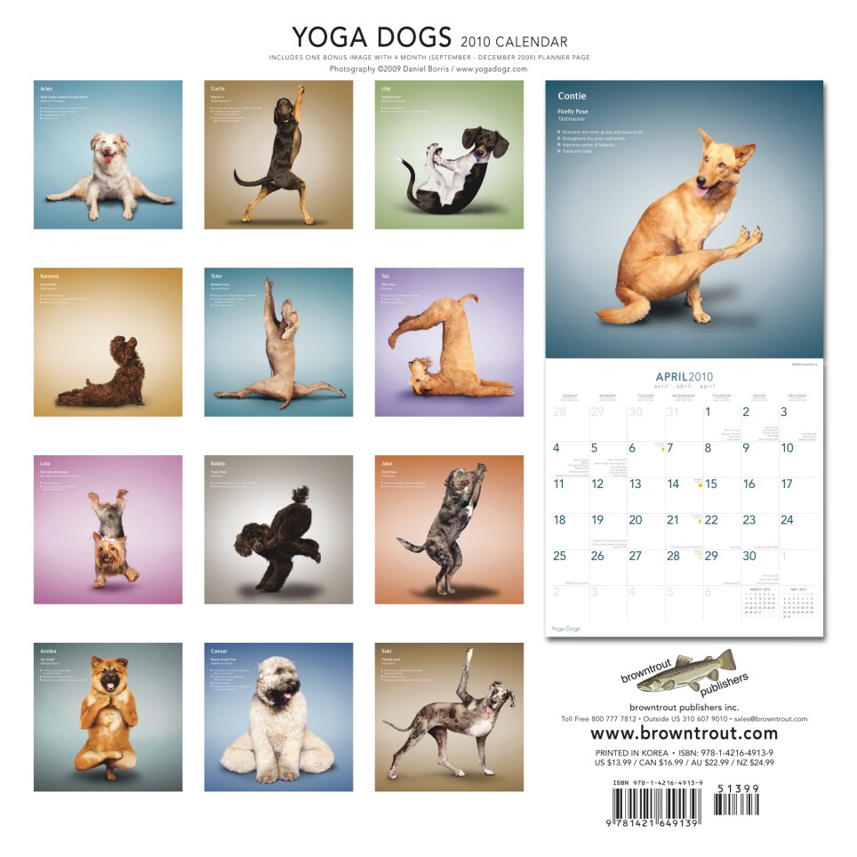 yoga-dogs-13