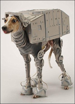 Костюм для собаки в духе Звездных Войн