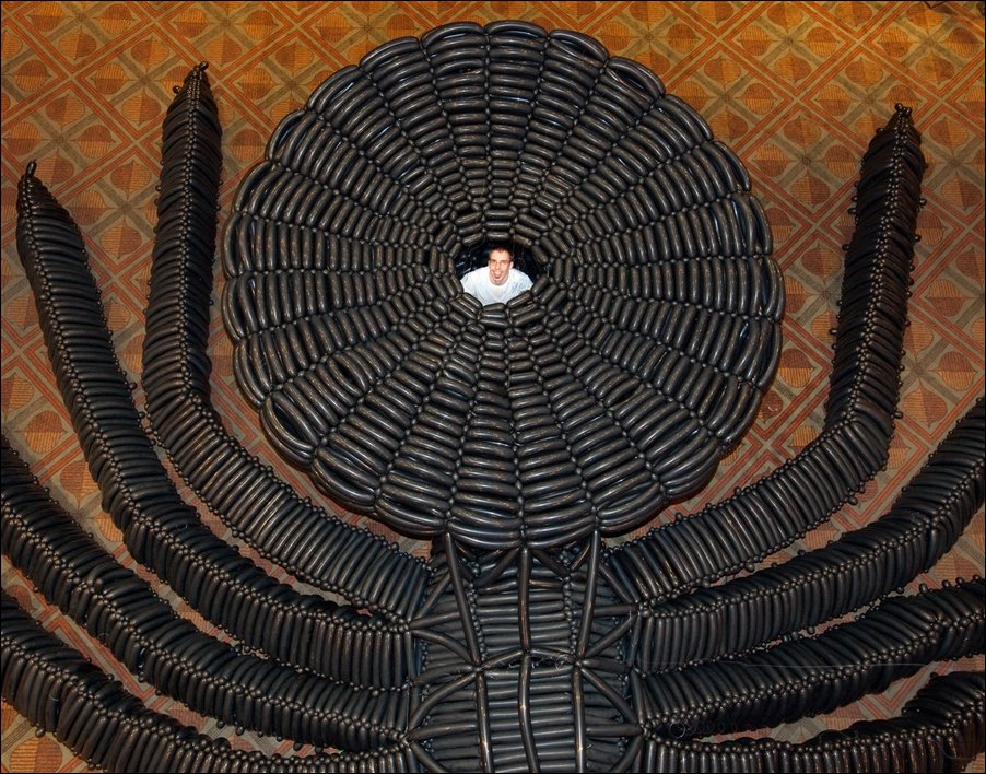 Паук, сделанный из воздушных шариков Паук, сделанный из воздушных шариков