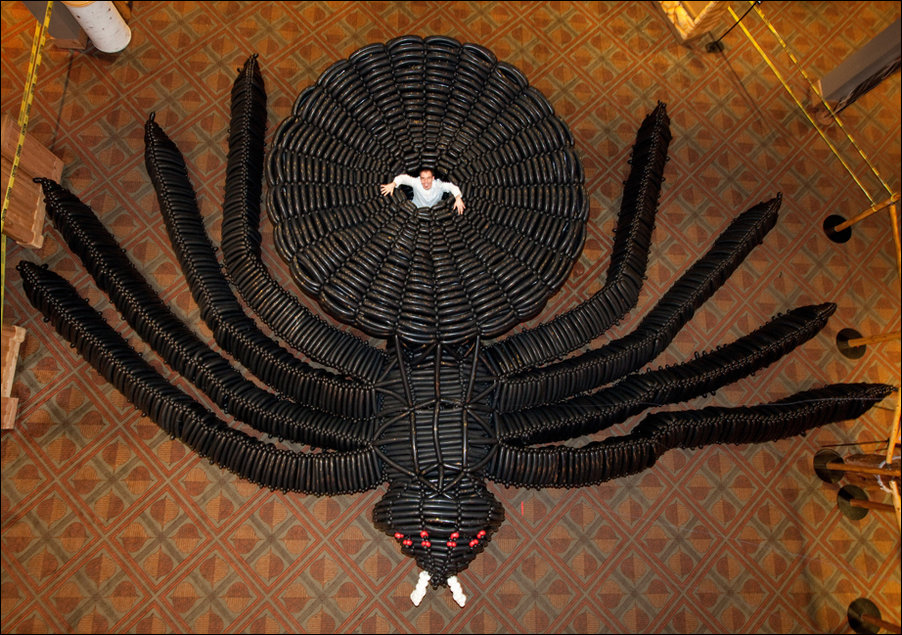 Паук, сделанный из воздушных шариков Паук, сделанный из воздушных шариков