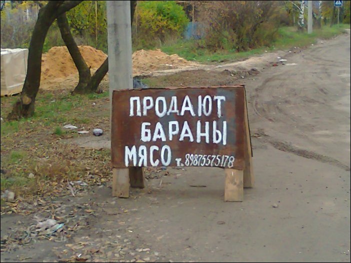 Прикольные надписи и объявления Прикольные надписи и объявления