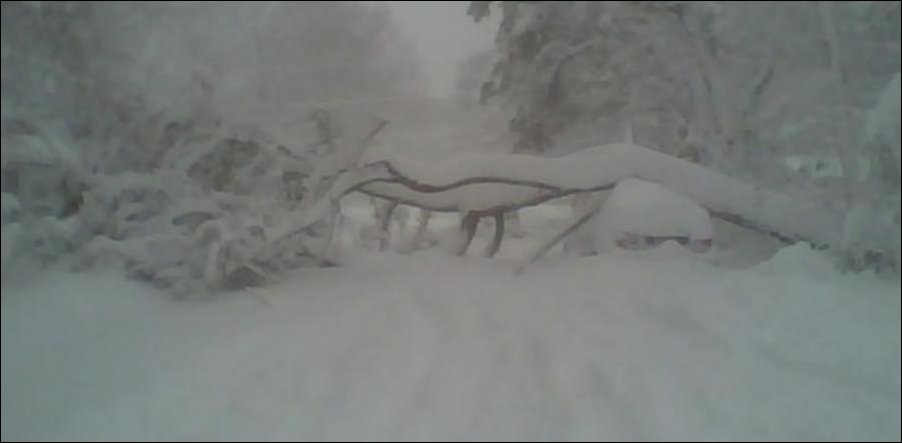 Удачная парковка Удачная парковка