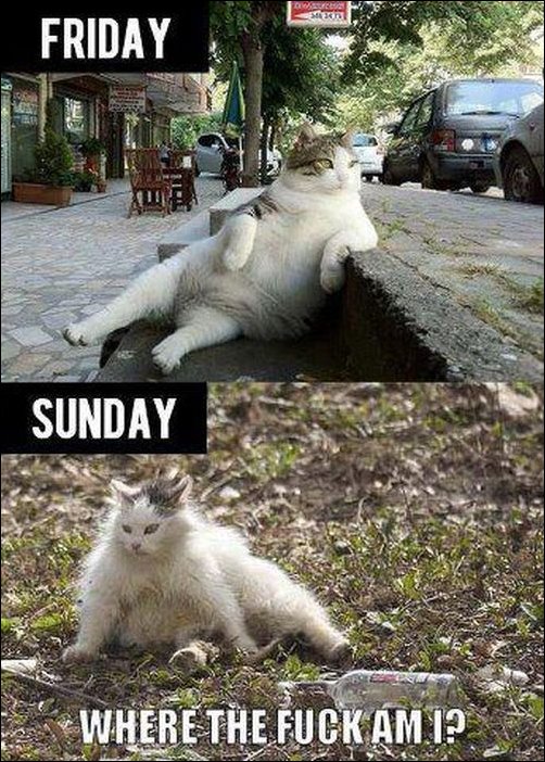 Подборка фотографий Подборка фотографий