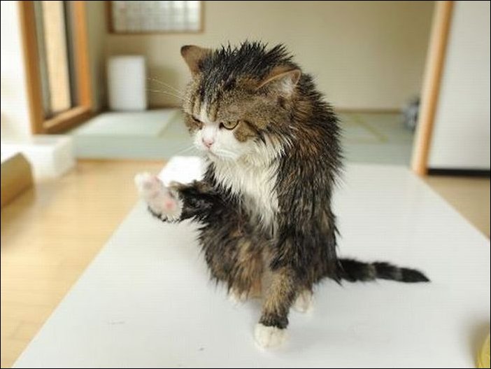 Подборка фотографий Подборка фотографий