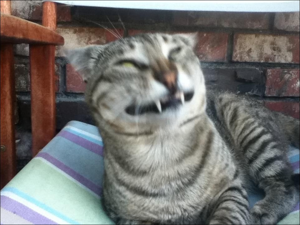 Подборка фотографий Подборка фотографий