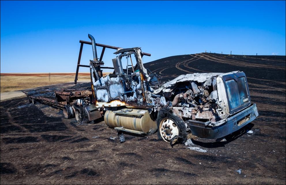 Подборка фотографий Подборка фотографий