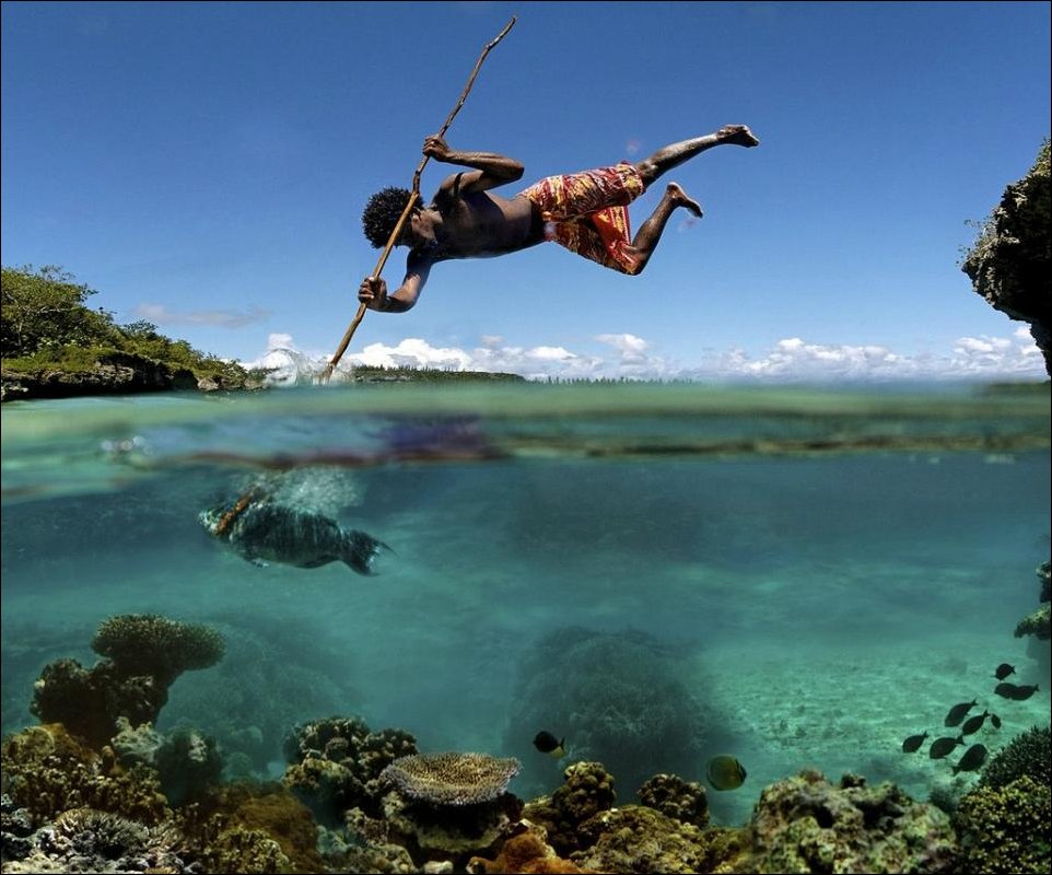 Подборка фотографий Подборка фотографий