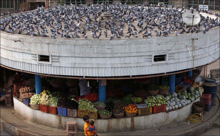 Подборка фотографий Подборка фотографий