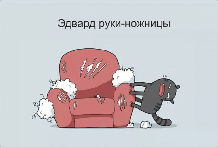 12 типов котов 12 типов котов