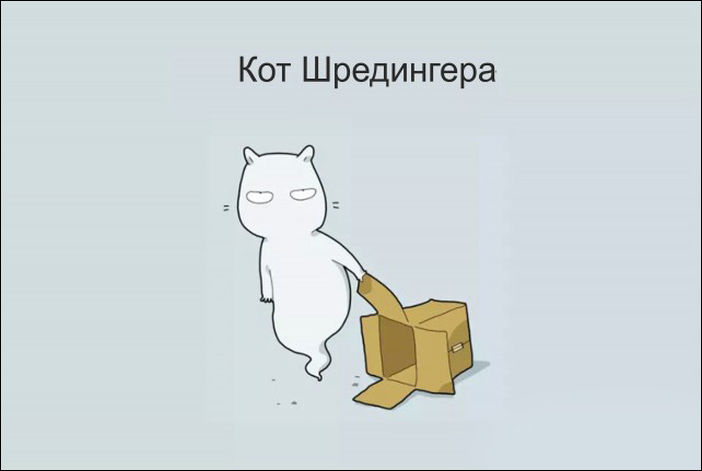 12 типов котов 12 типов котов