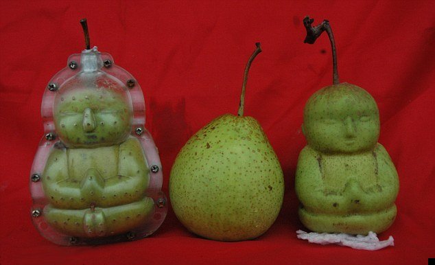 buddha-shaped-pears-03