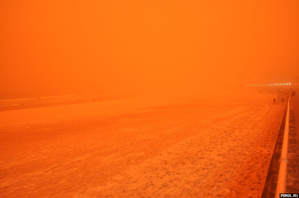sydney-sand-storm-09