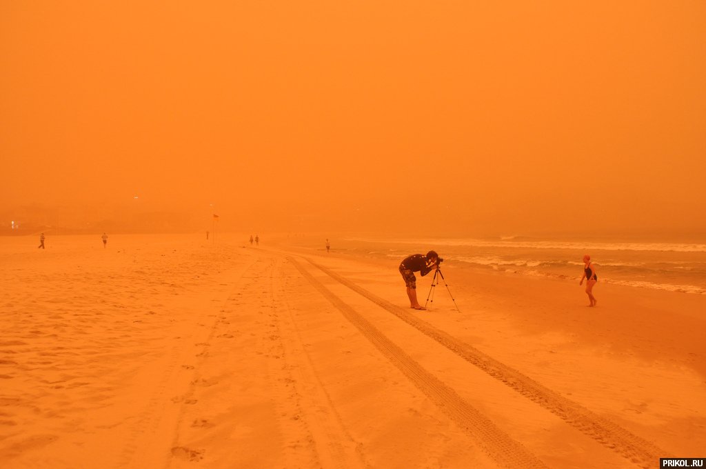 sydney-sand-storm-11
