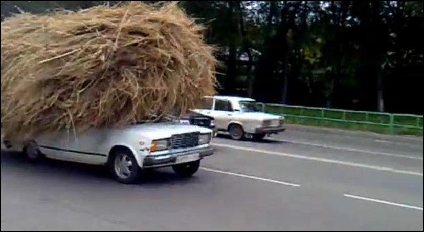 Как возят сено в Новокузнецке