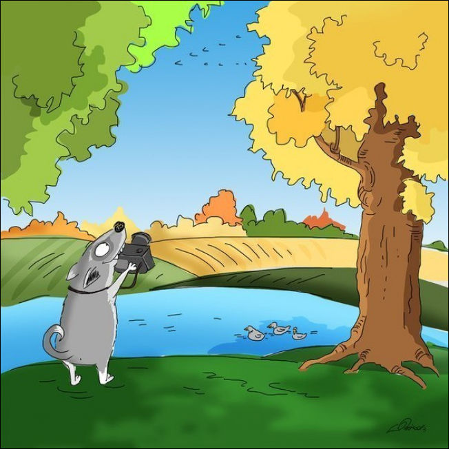 Любить осень Любить осень