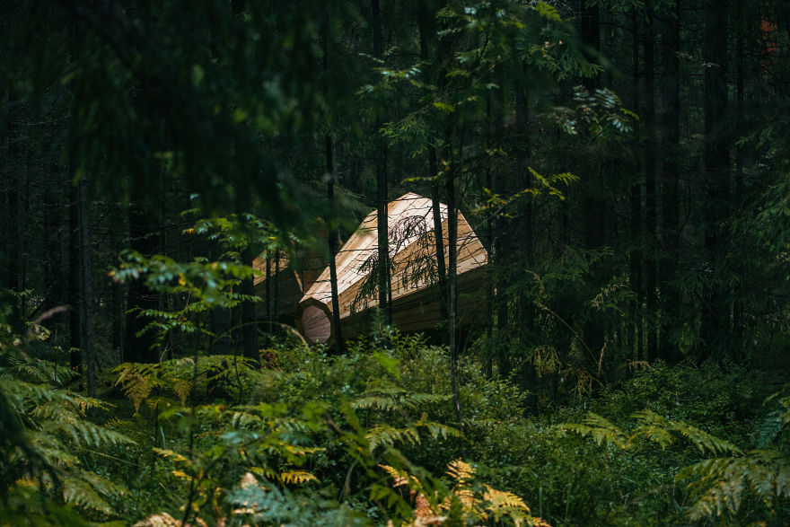 Деревянные мегафоны в лесу Эстонии