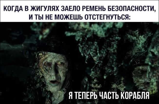 прикольные картинки прикольные картинки