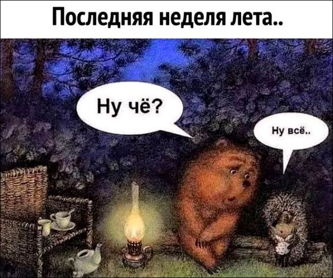 прикольные картинки прикольные картинки