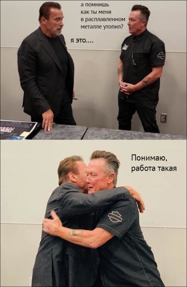 прикольные картинки прикольные картинки