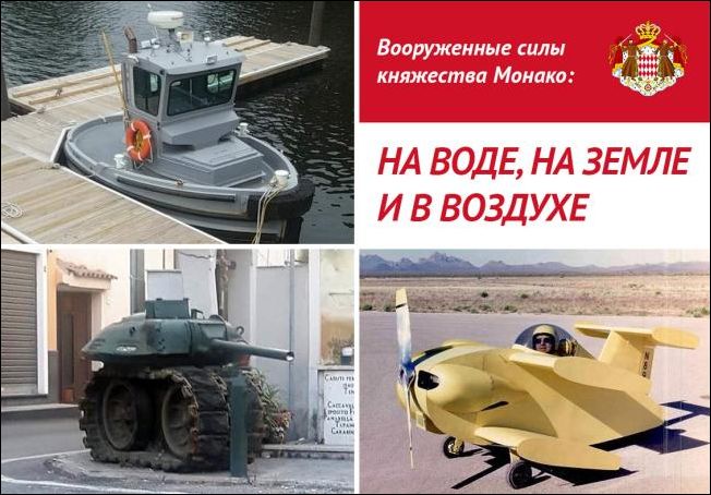 прикольные картинки прикольные картинки