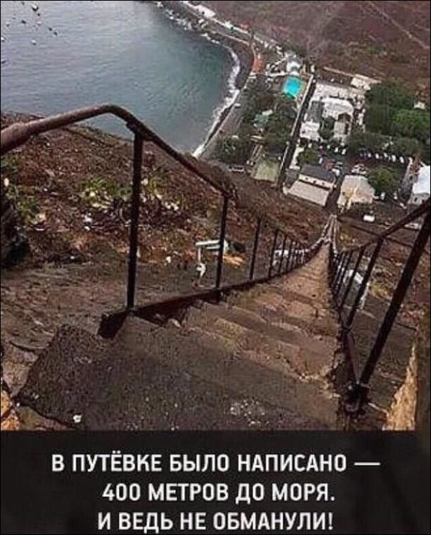 прикольные картинки прикольные картинки