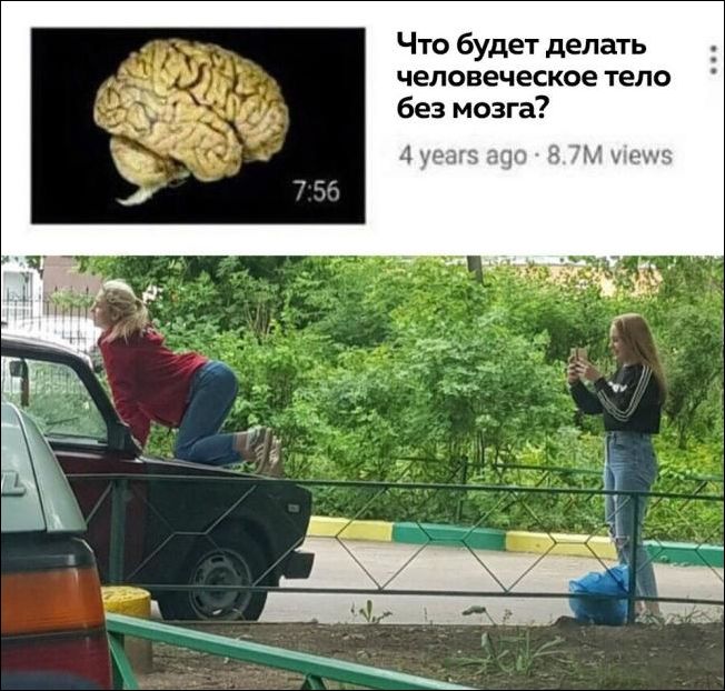 прикольные картинки прикольные картинки