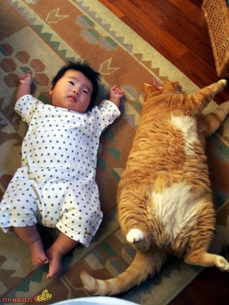 kid-and-cat-01.jpg