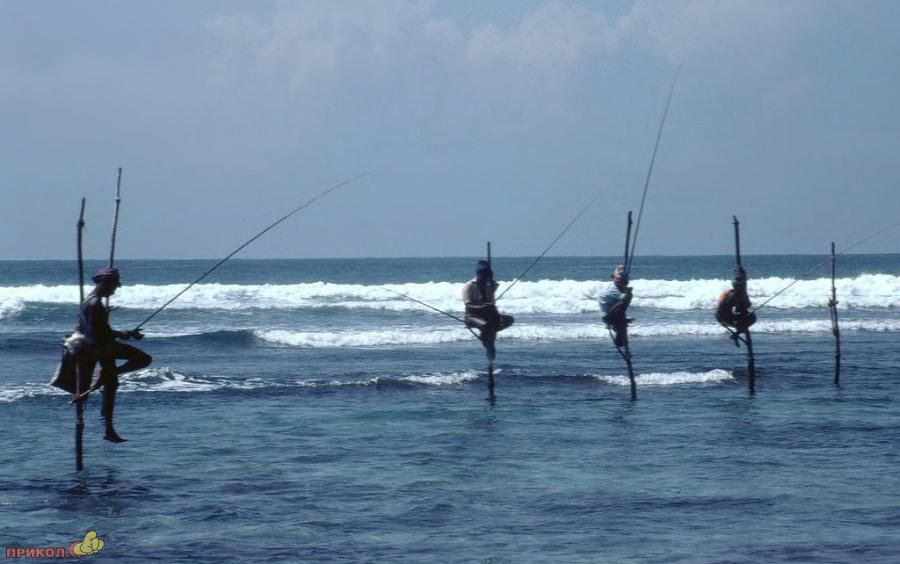 sri-lanka-fishing-06