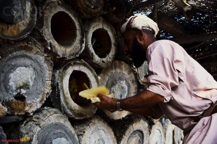 пасека paseka-02