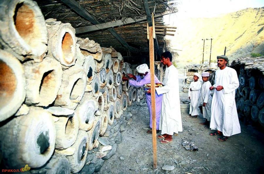 пасека paseka-03