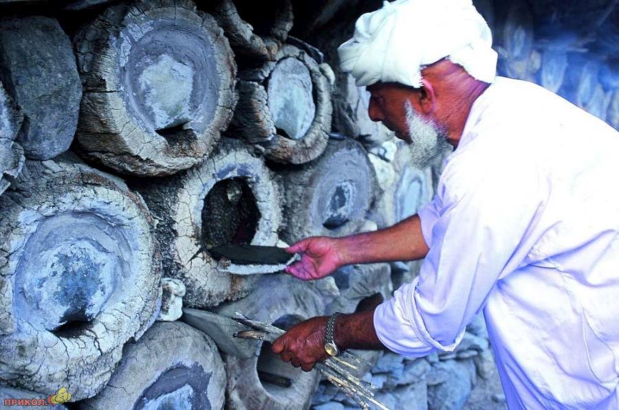 пасека paseka-04