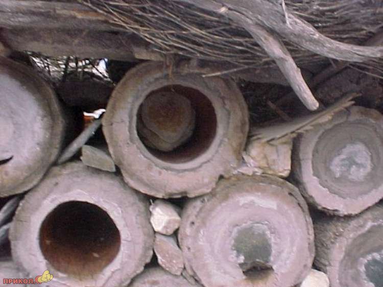 пасека paseka-05