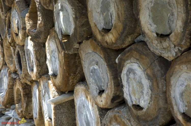 пасека paseka-06