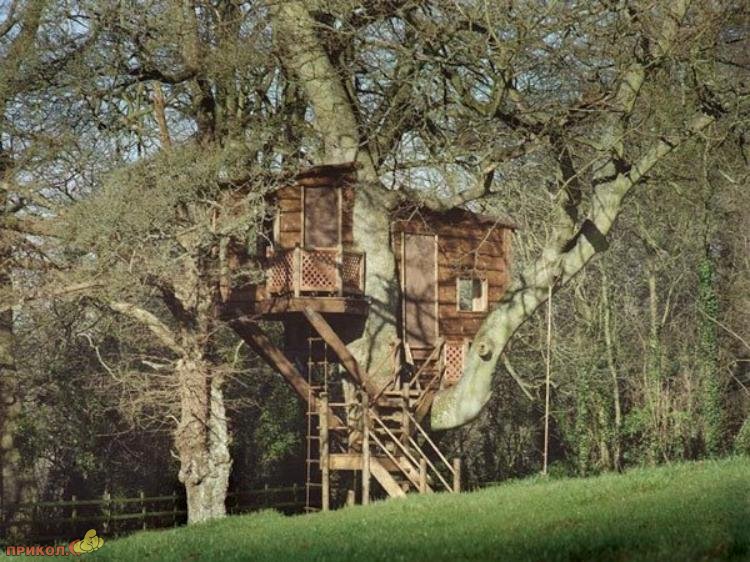 tree-house-15