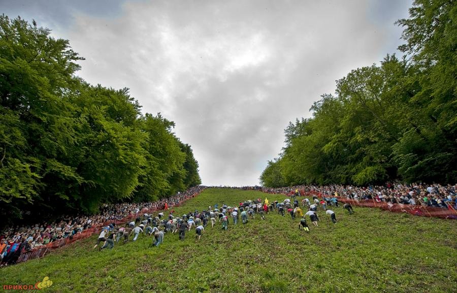 cheese-rolling-2009-11