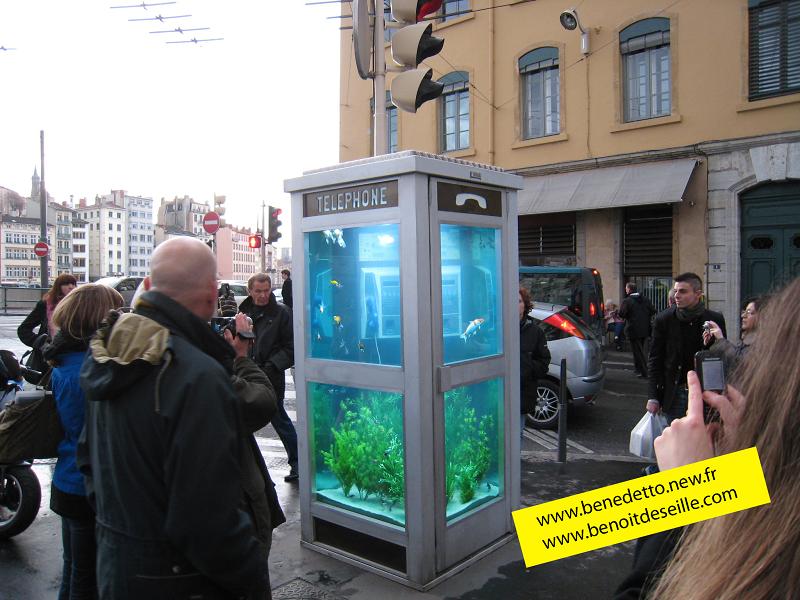 aquarium-phone-02