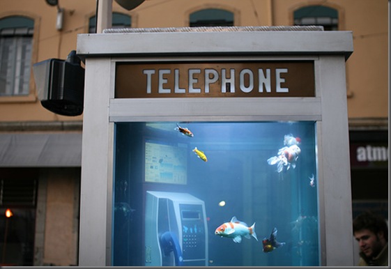 aquarium-phone-03