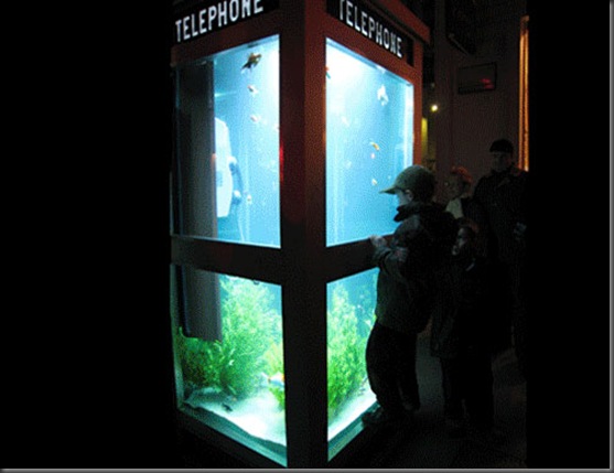 aquarium-phone-04
