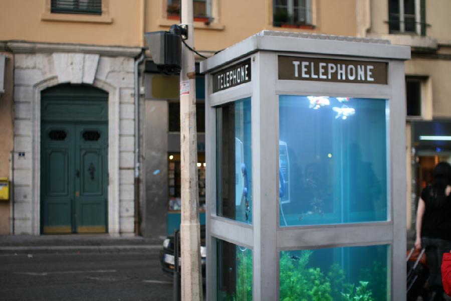 aquarium-phone-06