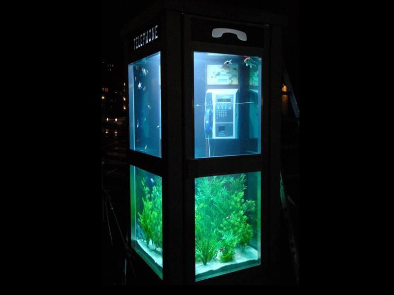 aquarium-phone-07