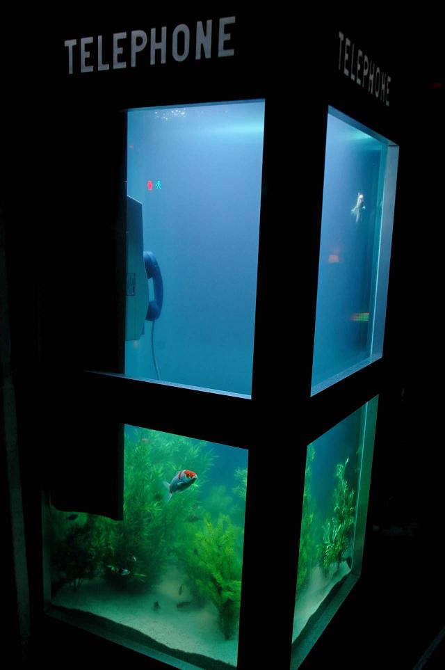 aquarium-phone-10
