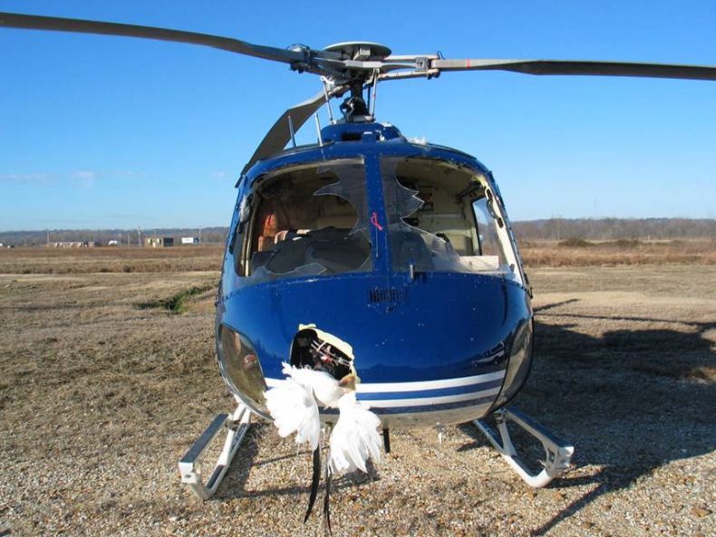 helicopter-bird-crash-01