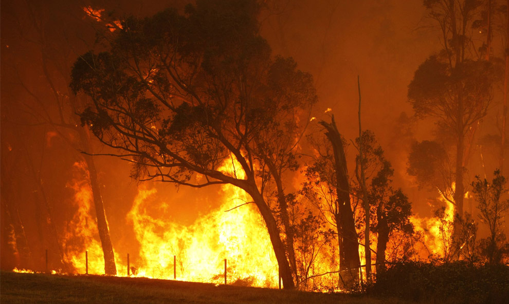 bushfires-in-victoria-australia-17