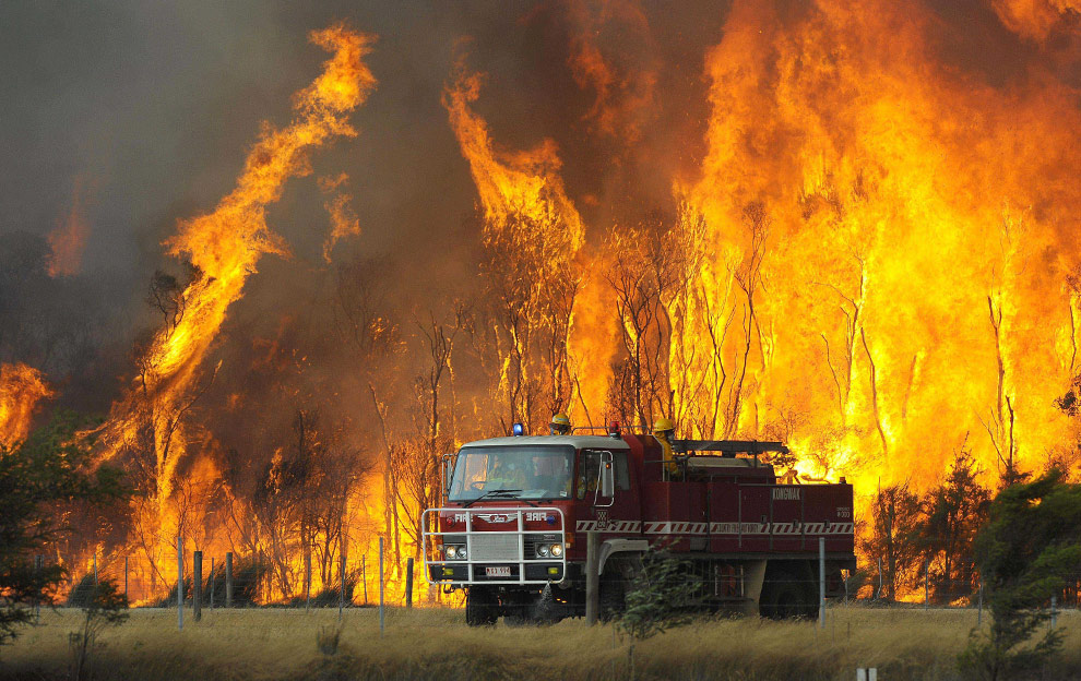 bushfires-in-victoria-australia-19