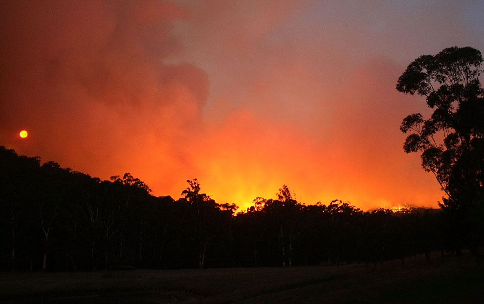bushfires-in-victoria-australia-29
