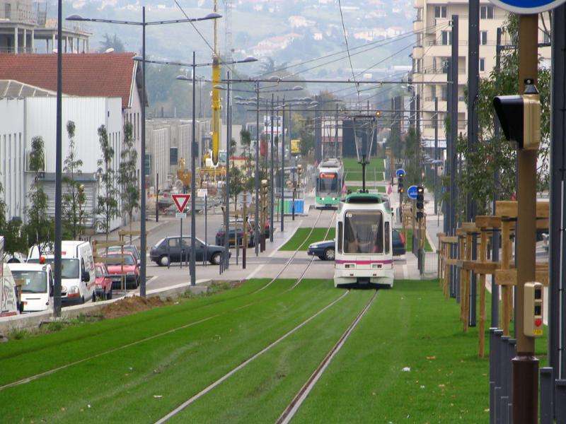 tram-on-grass-02