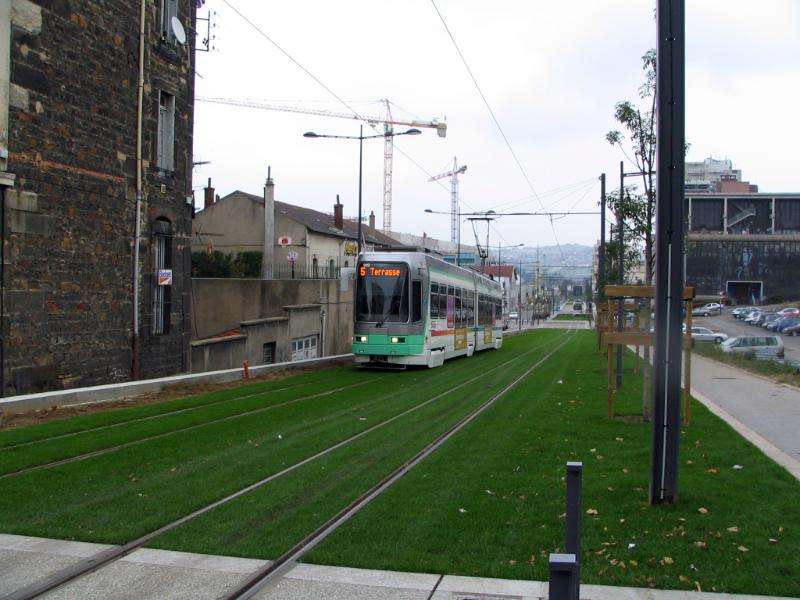 tram-on-grass-03